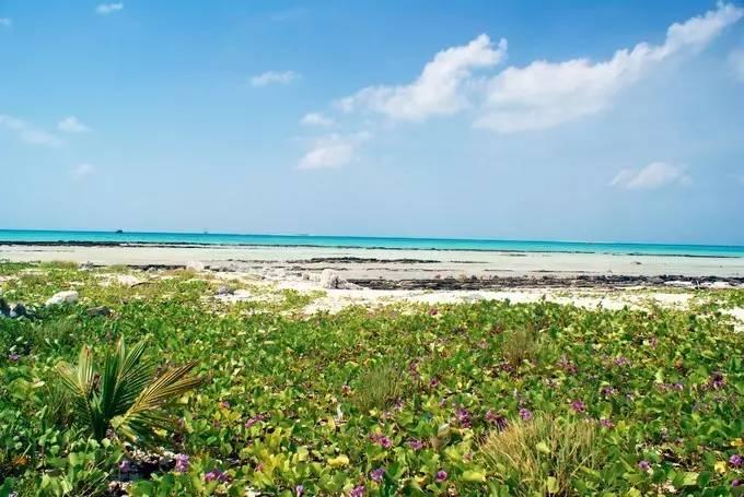 【新春走基层】连城:营造春节氛围 增添浓浓年味